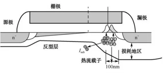 1.webp